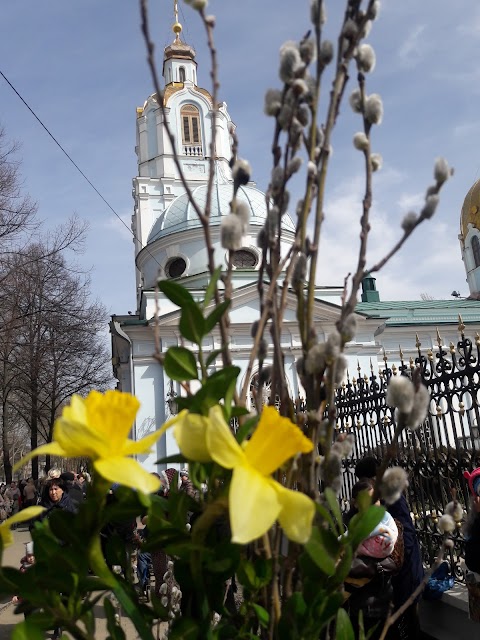 Кафедральний Собор Різдва Пресвятої Богородиці