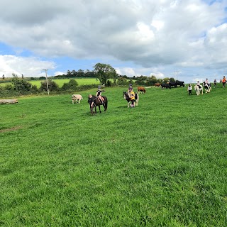 Drumcliffe Equestrian Centre