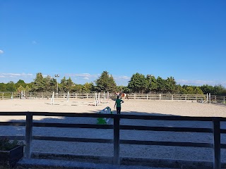 Feeneys Equestrian Centre Galway