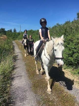 Bantry Pony Trekking