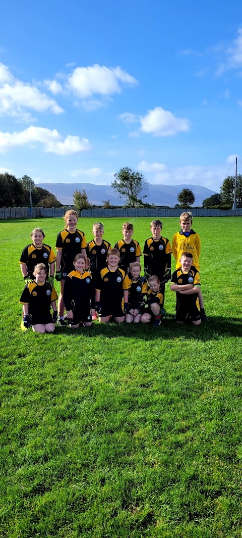 Na Gaeil GAA Club