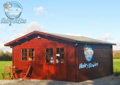 Hairy Babies - Professional Dog Grooming Parlour