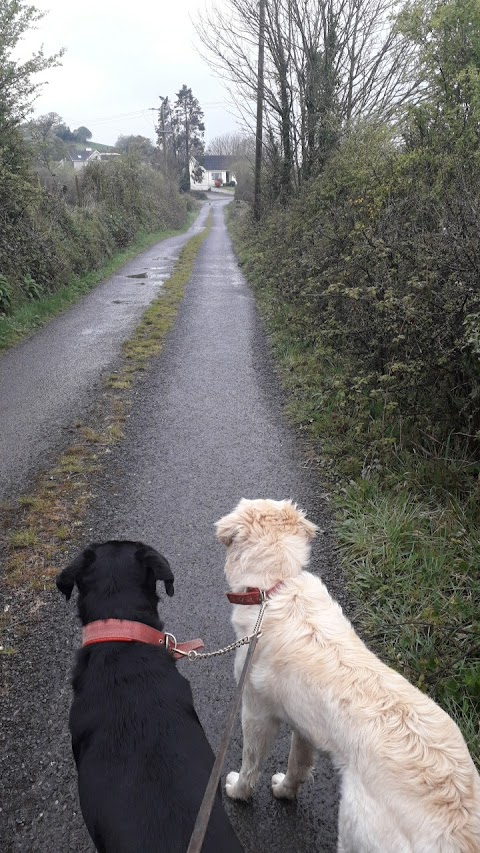 Bantry Boarding Kennels