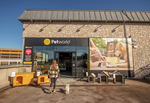 Petworld Cork Blackpool