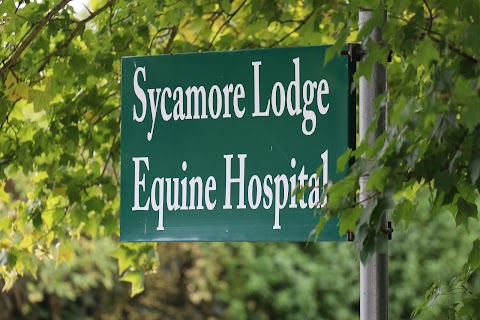 Sycamore Lodge Equine Hospital