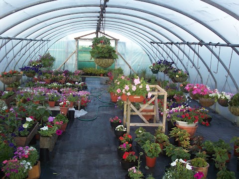 Dunleavy Nurseries