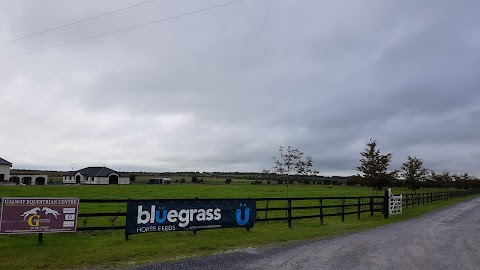 Galway Equestrian Centre