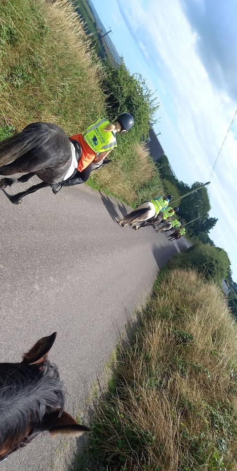 Ballyleigh riding school