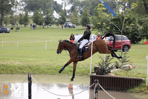 Sportsfield Horses