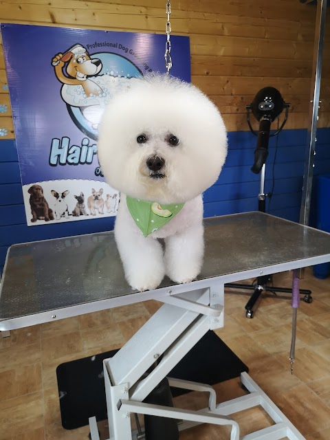 Hairy Babies - Professional Dog Grooming Parlour