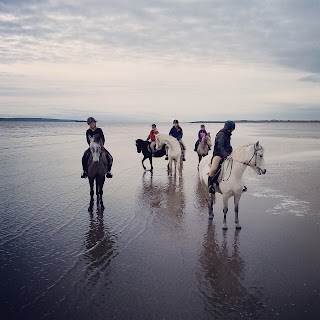 Carmen's Riding School