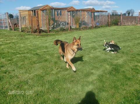 Stoneyford boarding Kennels and Cattery