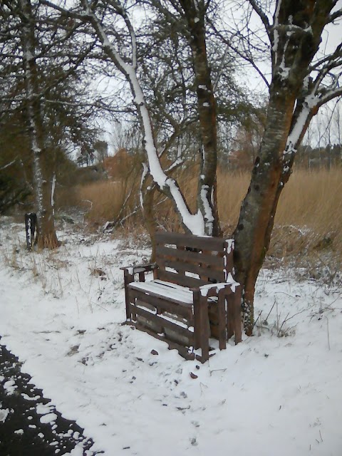 St. John's River Greenway.