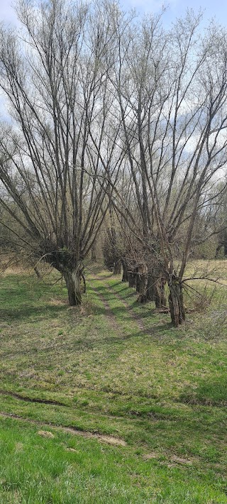 Izokwiat Skład budowlany Materiały budowlane Kwiatkowski J.