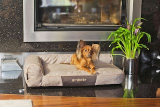 Amibelle Pet Shop