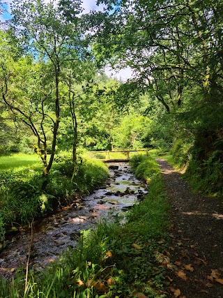 Monicknew forest recreation area