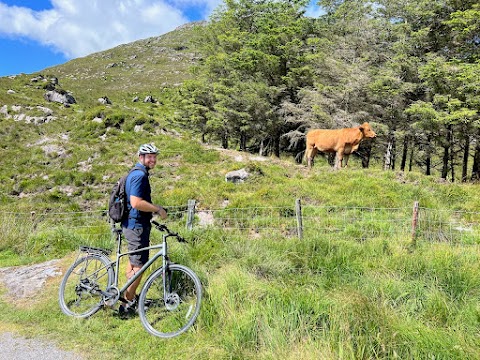 O'Sullivan's Killarney Rent a Bike