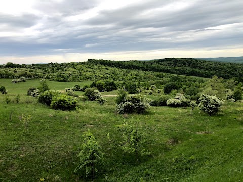 Свято-Покровський жіночий монастир