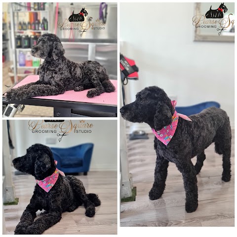 Dog Grooming Pearse Square Cork