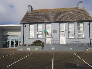 Scoil Naomh Fionán Na Reanna