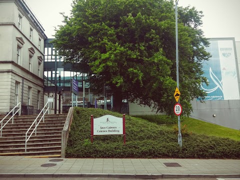 J.E. Cairnes School of Business & Economics