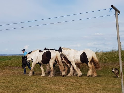 O'Connor's Trekking Horse Riding