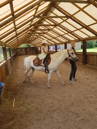 Mini Zoo Inwałd - Agro Kucyk