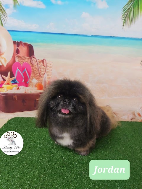 Beauty-Fur DogGrooming