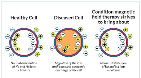 Biomagnetisim/ Biomagnetic Pair Therapy Cork. Philippa Swalbe - Lyme Disease