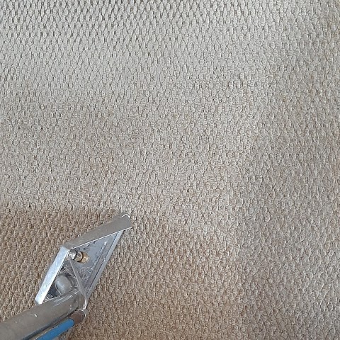 Carpet Cleaning Cork