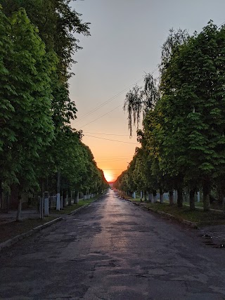 Ківерцівський медичний коледж