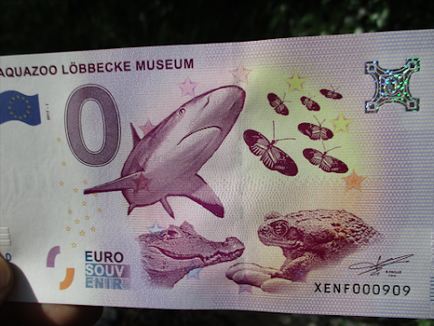 Euro Note Souvenir LTD