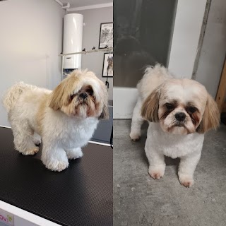 Jagi Grooming - salon pielęgnacji zwierząt