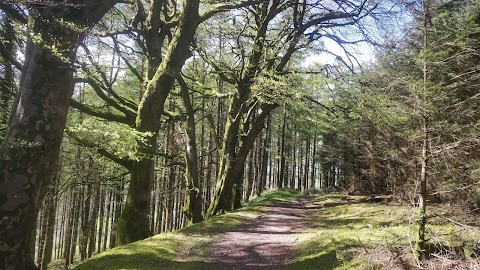 Slieve Bloom Mountains