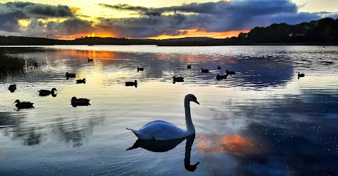 Ballyalla Lake