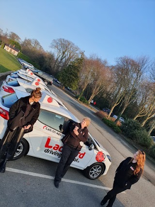 Ladybird Driving School Portarlington