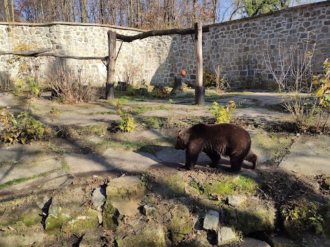 ZOO - Brama boczna