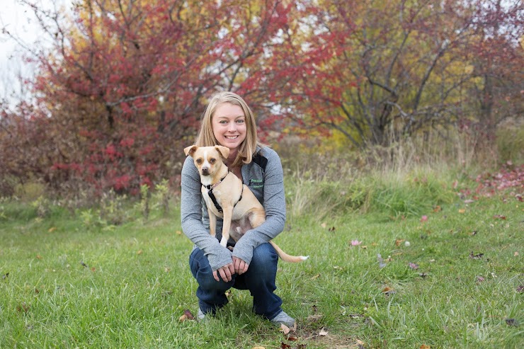 Practical Obedience LLC - Custom Dog Training, Green Bay, WI