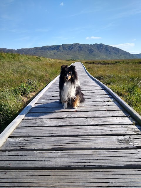 Claggan Mountain Coastal Trail