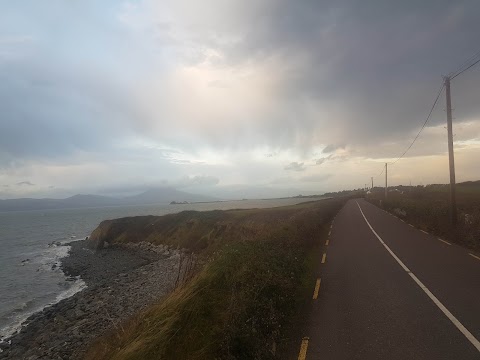 Fenit