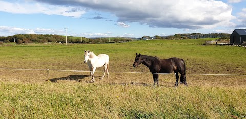 Carrowholly Stables