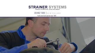 Strainer Systems