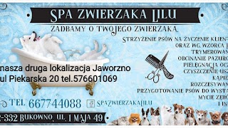 Spa zwierzaka Lilu psi fryzjer, groomer , fryzjer dla psów, Jaworzno