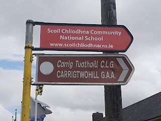 Carrigtwohill GAA Club