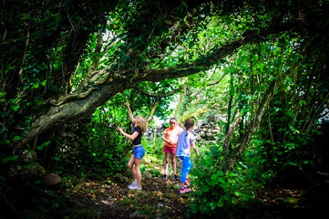 Burren Farm Experience