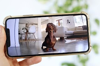 Poppins Pet Camera