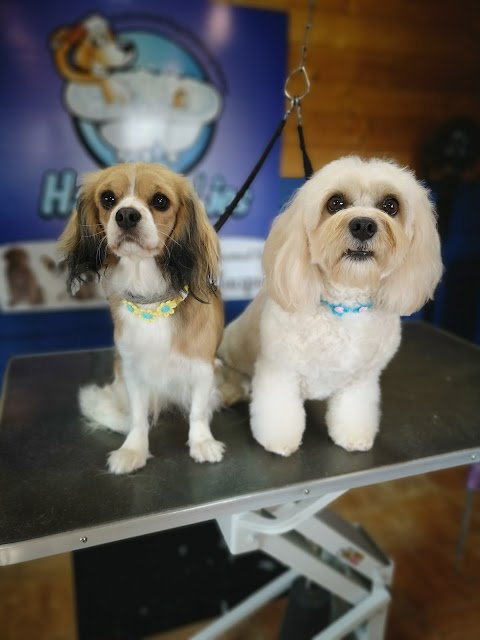 Hairy Babies - Professional Dog Grooming Parlour