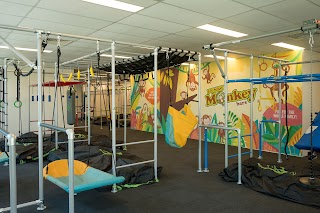 Funky Monkey Bars