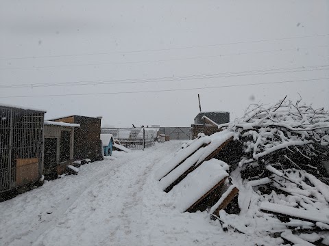 БО Дім Сірка . Притулок