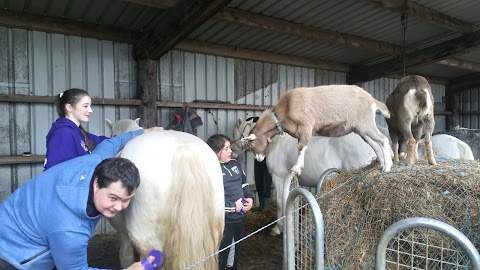 Carmen's Riding School